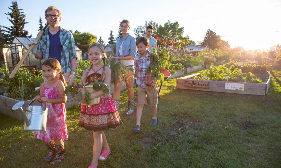 People tending a community garden