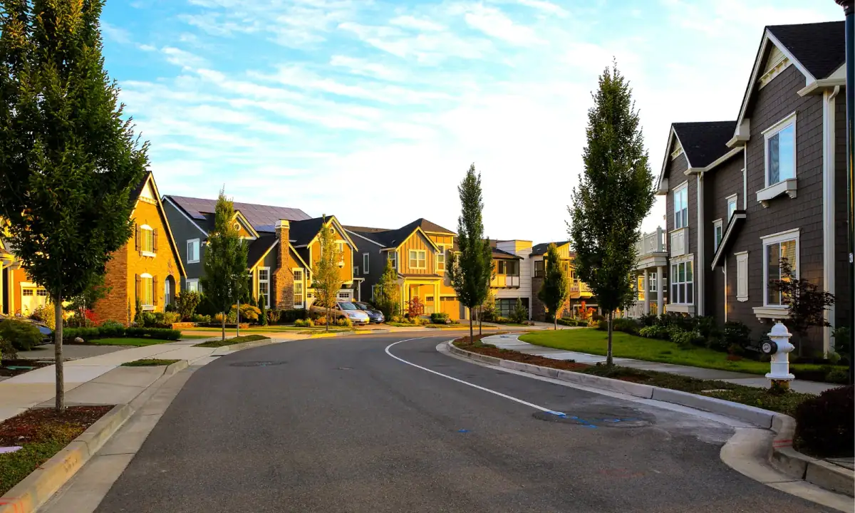 Homes and young trees along a curving neighborhood street
