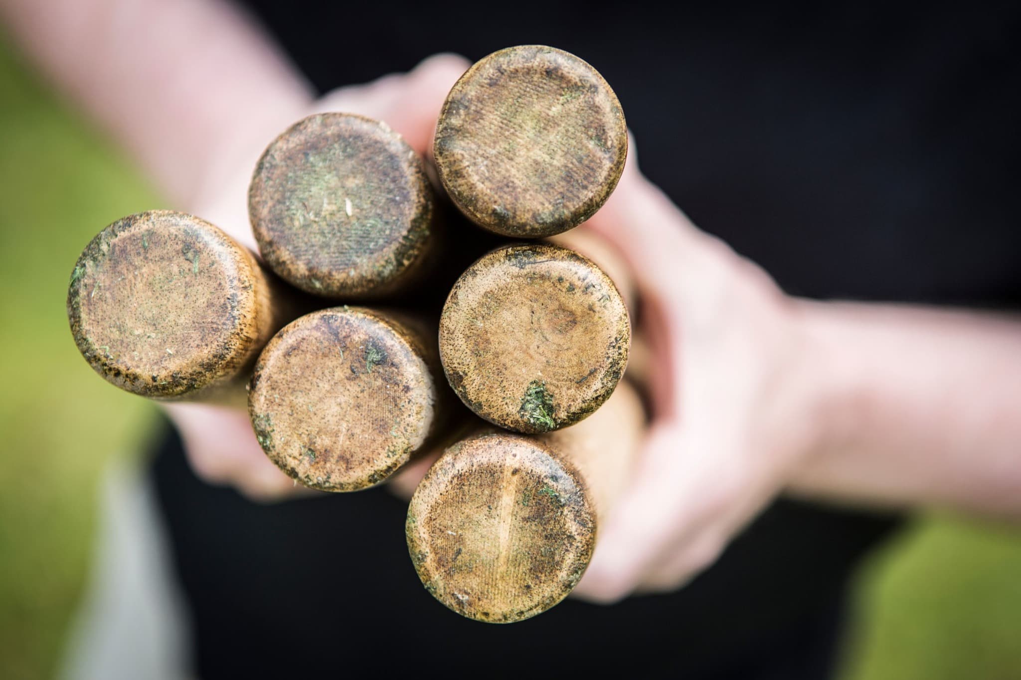 Close-up of a player holding six worn wooden kubb throwing batons.