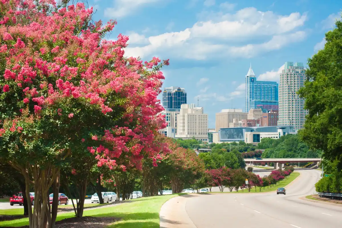 The Raleigh skyline above the city