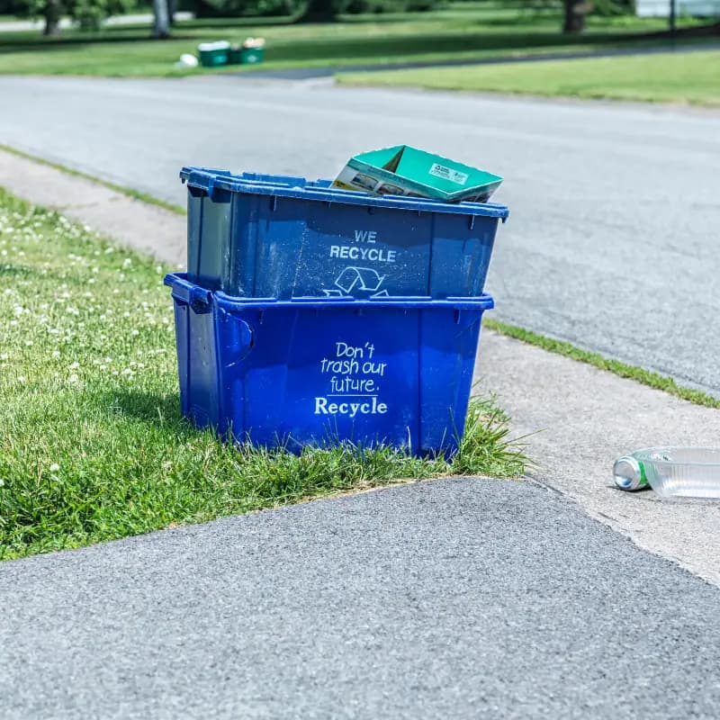 Recycling bins ready for pickup